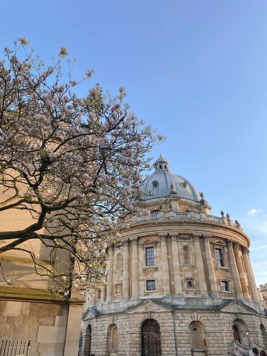 Mình đã may mắn khi gặp được những người khiến lời tạm biệt trở nên thật khó khăn 🥺