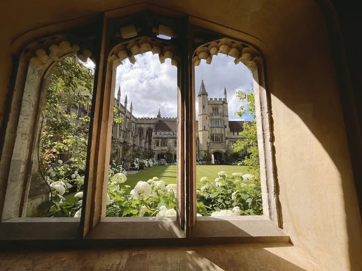 Gieo những hạt mầm 🌱