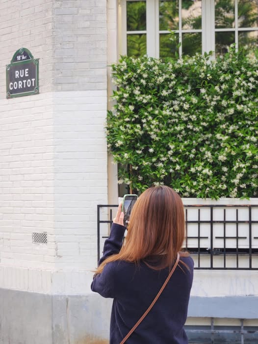 Quan sát bản thân trong nửa năm qua, mình nhận ra một điều có vẻ khá trớ trêu 😄